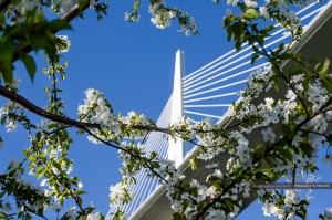 Photo Architecture Millau Viaduc