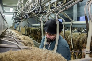 Reportage photo entreprise Lozère