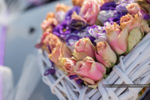 Mariage à Rodez - Aveyron